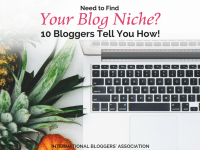 Are you having a hard time figuring out your blog niche? Do you even know what blog niche means? If you are a serious blogger you may want to find out now!
