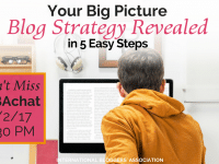 Learn how to reveal your big picture blog strategy by looking at more analytical goals in order to develop a long-term and short term Blog Strategy.