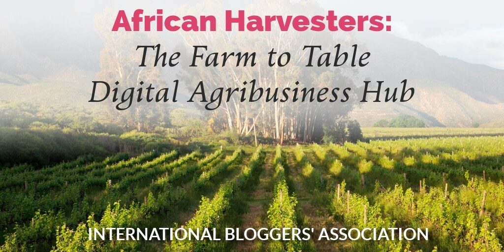 Meet IBA member Serah Odende of African Harvesters. She blogs about all things agricultural in Africa. You will love her farm-to-table blog!