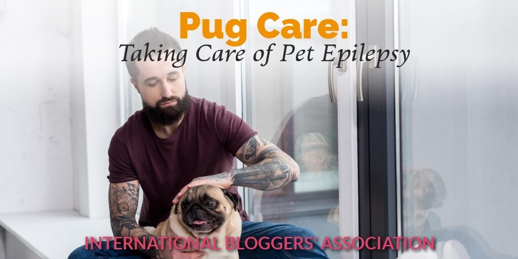 man petting pug with text overlay "Pug Care: Taking Care of Pet Epilepsy"